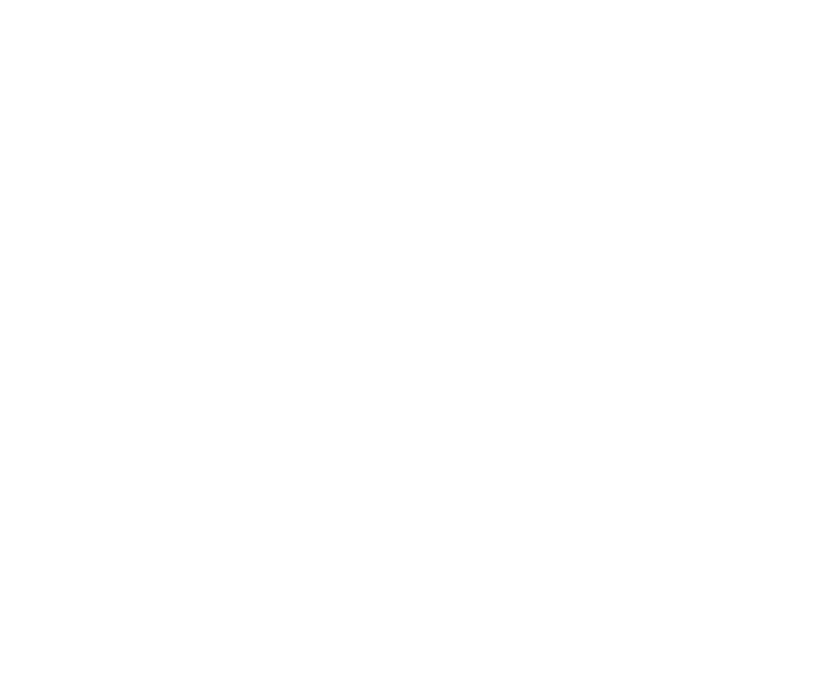 face lattice binary octics